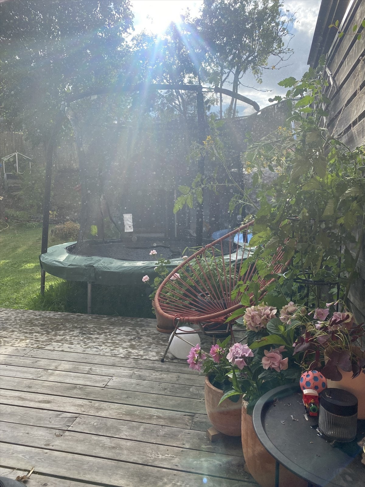 Selgers egne sommerbilder Galleribilde