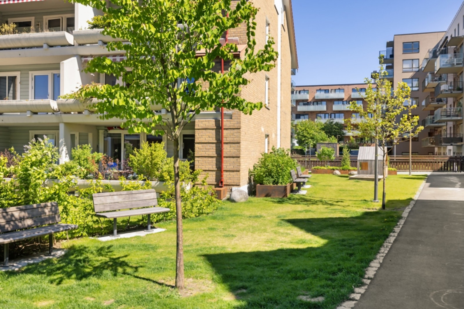 Bilde fra fellesområde på sommerstid. Galleribilde