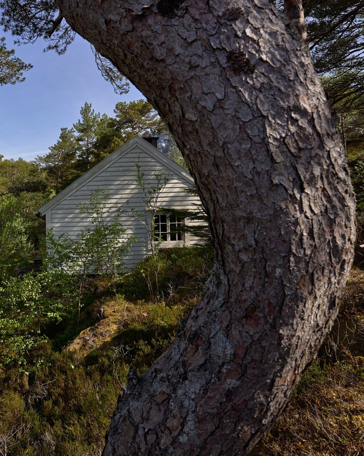 - Eiendommen befinner seg på et avsidesliggende og rolig sted, uten noen form for innsyn - Galleribilde