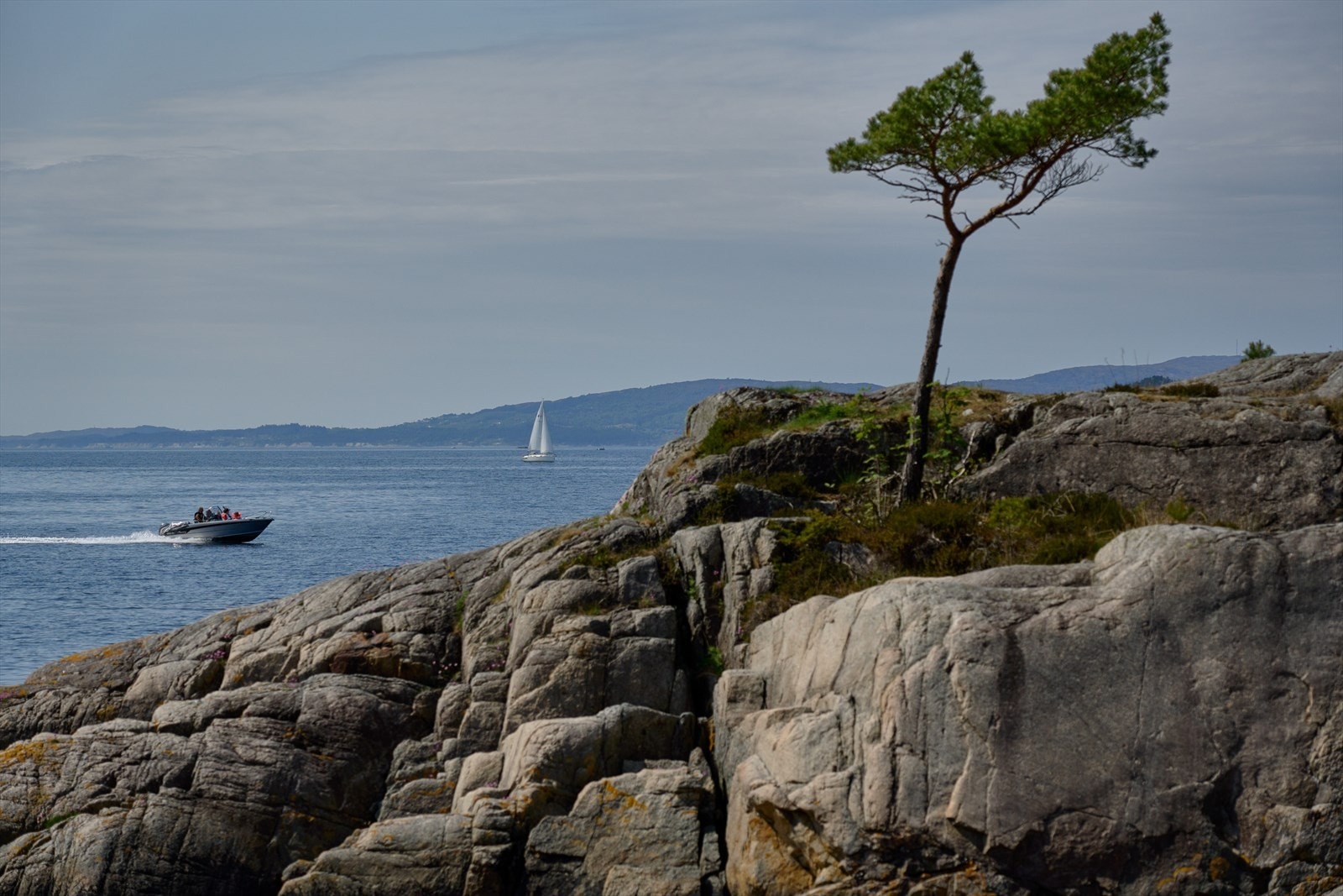 - Fullt av liv både over og under vannoverflaten. Krokeide Kai ligger kun en 5 minutters båttur unna eiendommen - Galleribilde
