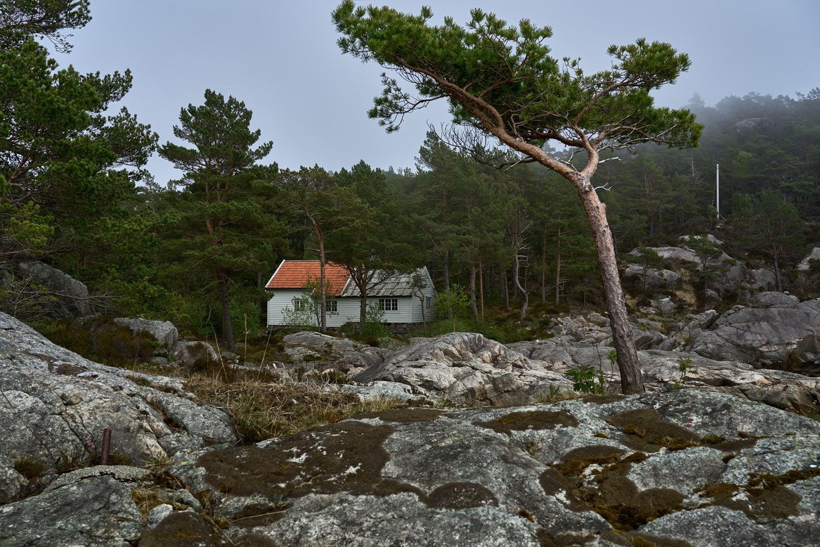 - Huset er opprinnelig to hus som er skjøtet sammen til ett - Galleribilde
