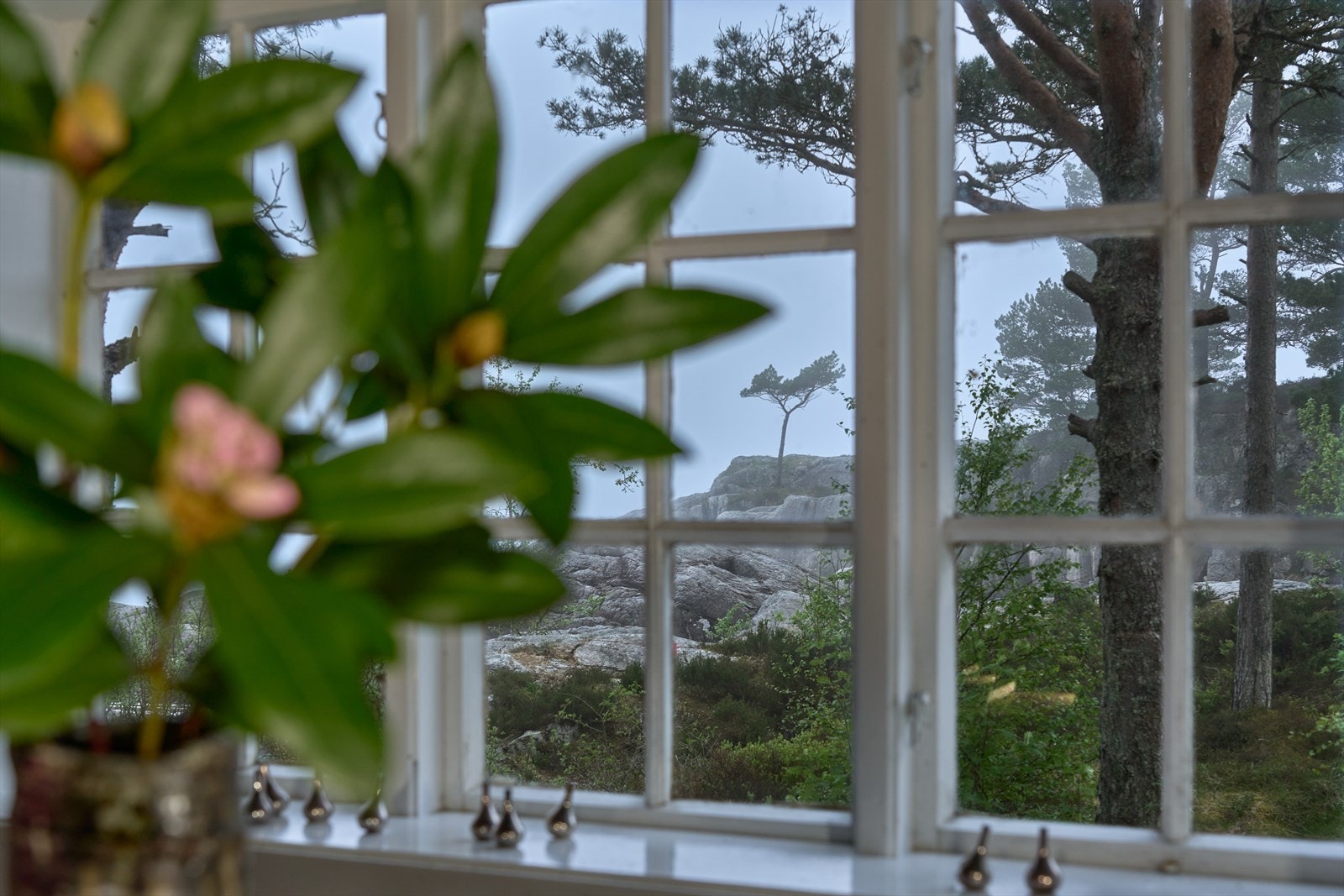 - Vakker utsikt mot natur i alle retninger - Galleribilde