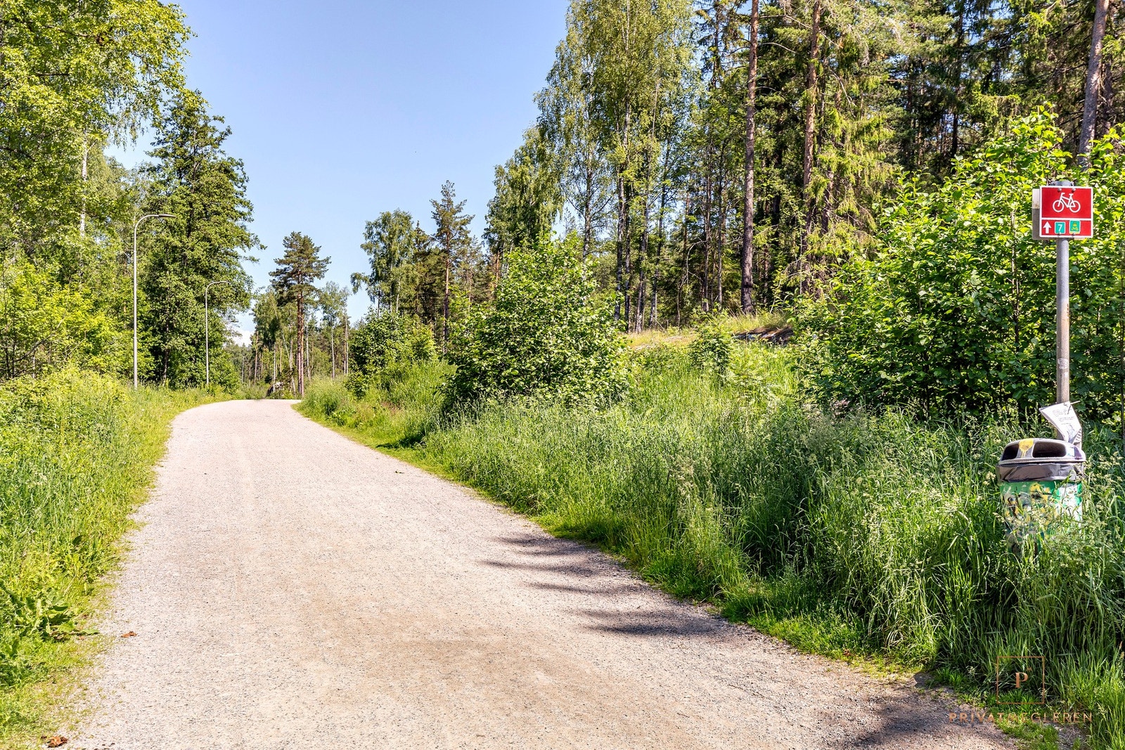 Turløypeområde på Tårnåsen. Galleribilde