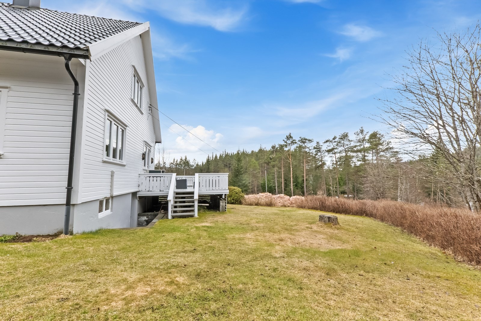 Stor hage. Galleribilde