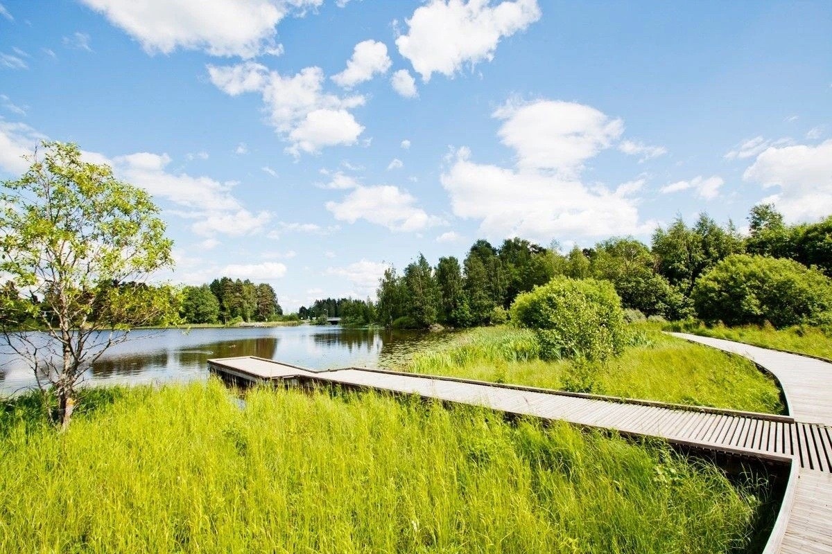 Bilde fra nærområde. Galleribilde