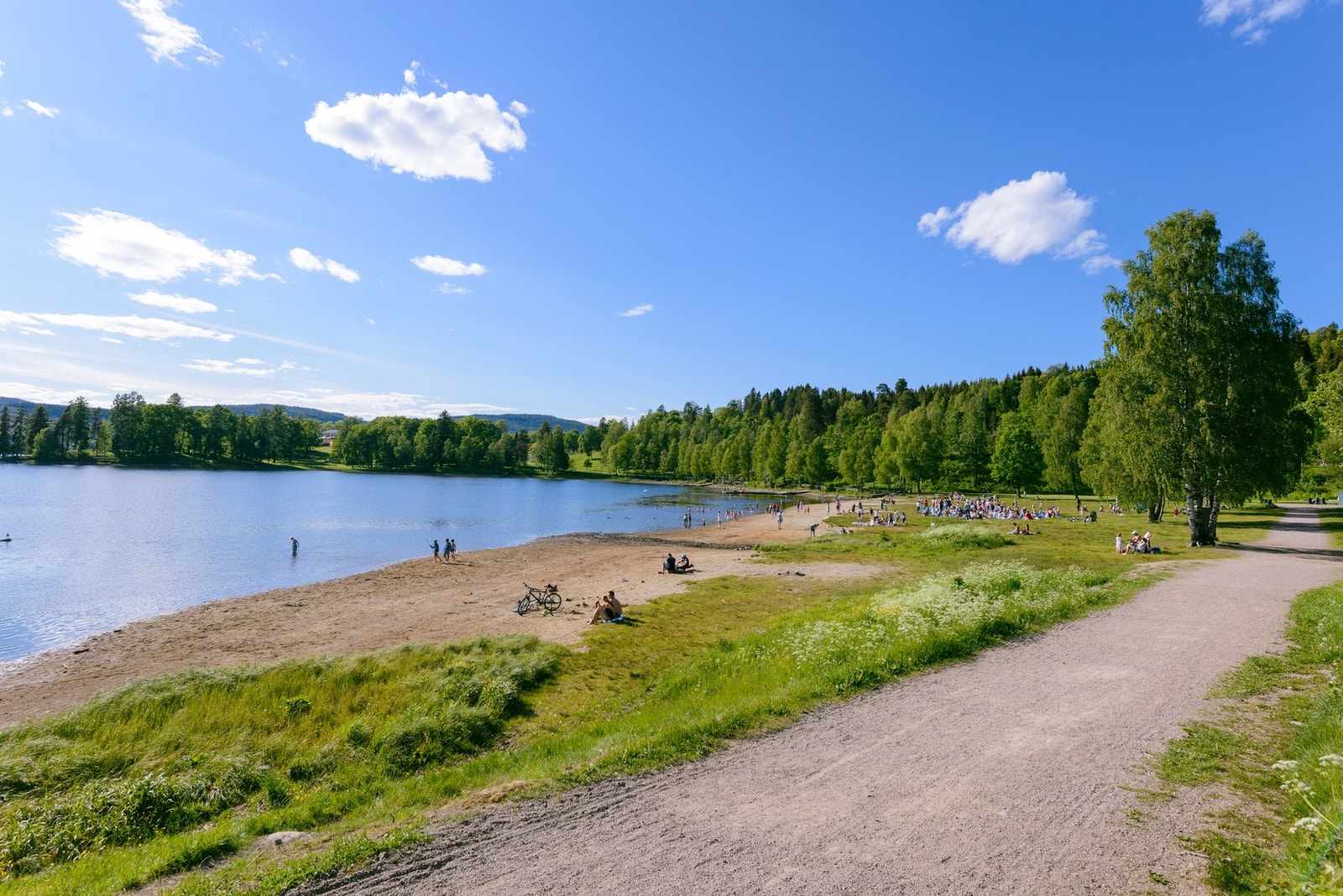 Fantastisk med vann og aktiviteter på Bogstadvannet & Bogstad gård. En flott gåtur fra leiligheten. Galleribilde