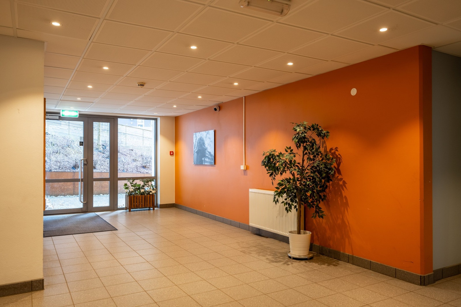 Felles inngangsparti. Galleribilde