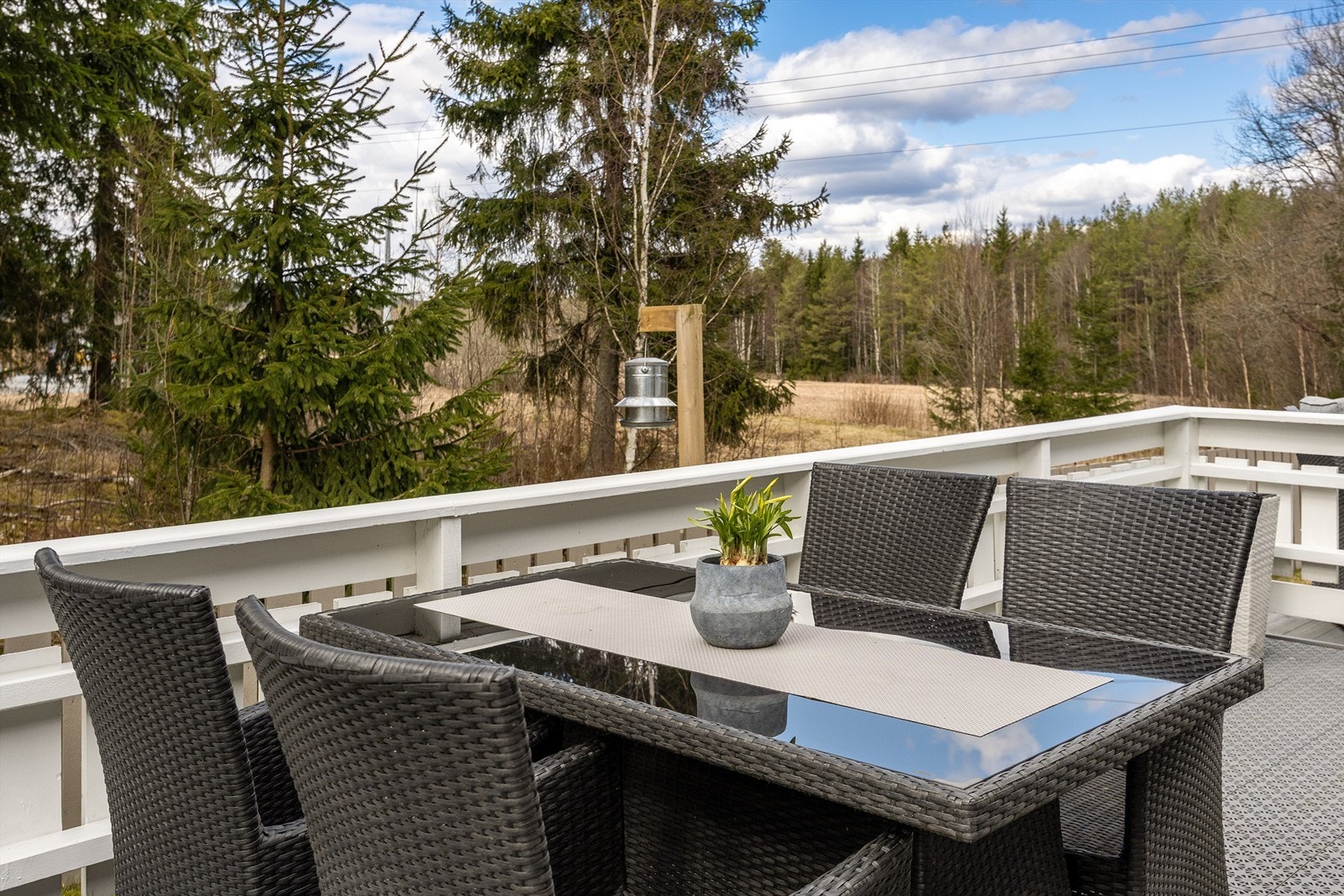 Fra terrassen har man utsikt mot omkringliggende natur og jorder. Galleribilde