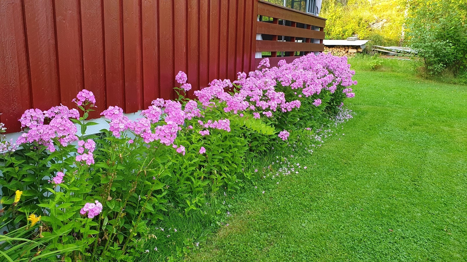 Sommertid i Rognvegen 18 (selgers eget bilde) Galleribilde