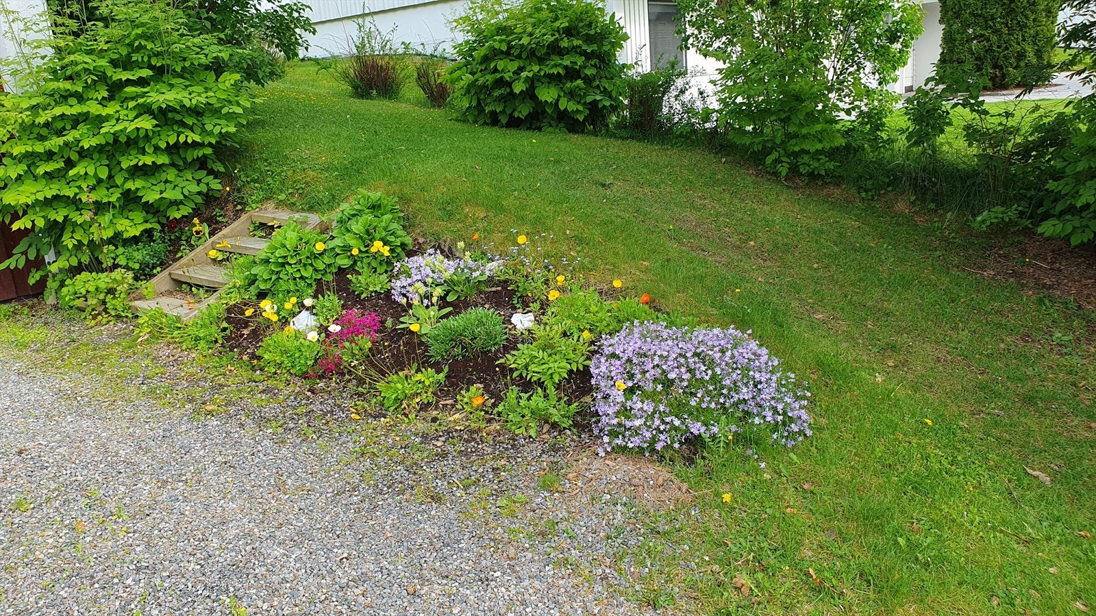Sommertid i Rognvegen 18 (selgers eget bilde). Galleribilde