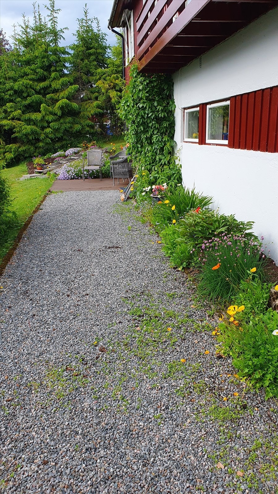 Langs den gruslagte gangstien i forbindelse fra garasjen til inngangspartiet er det fint beplantet (selgers eget bilde). Galleribilde