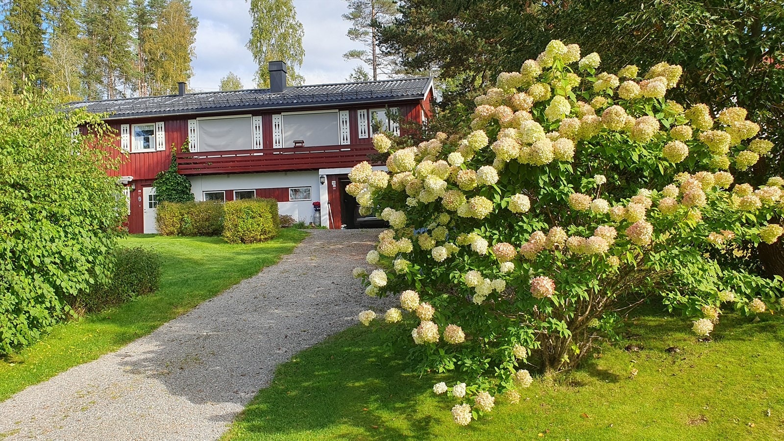 Sommertid i Rognvegen 18 (selgers eget bilde) Galleribilde