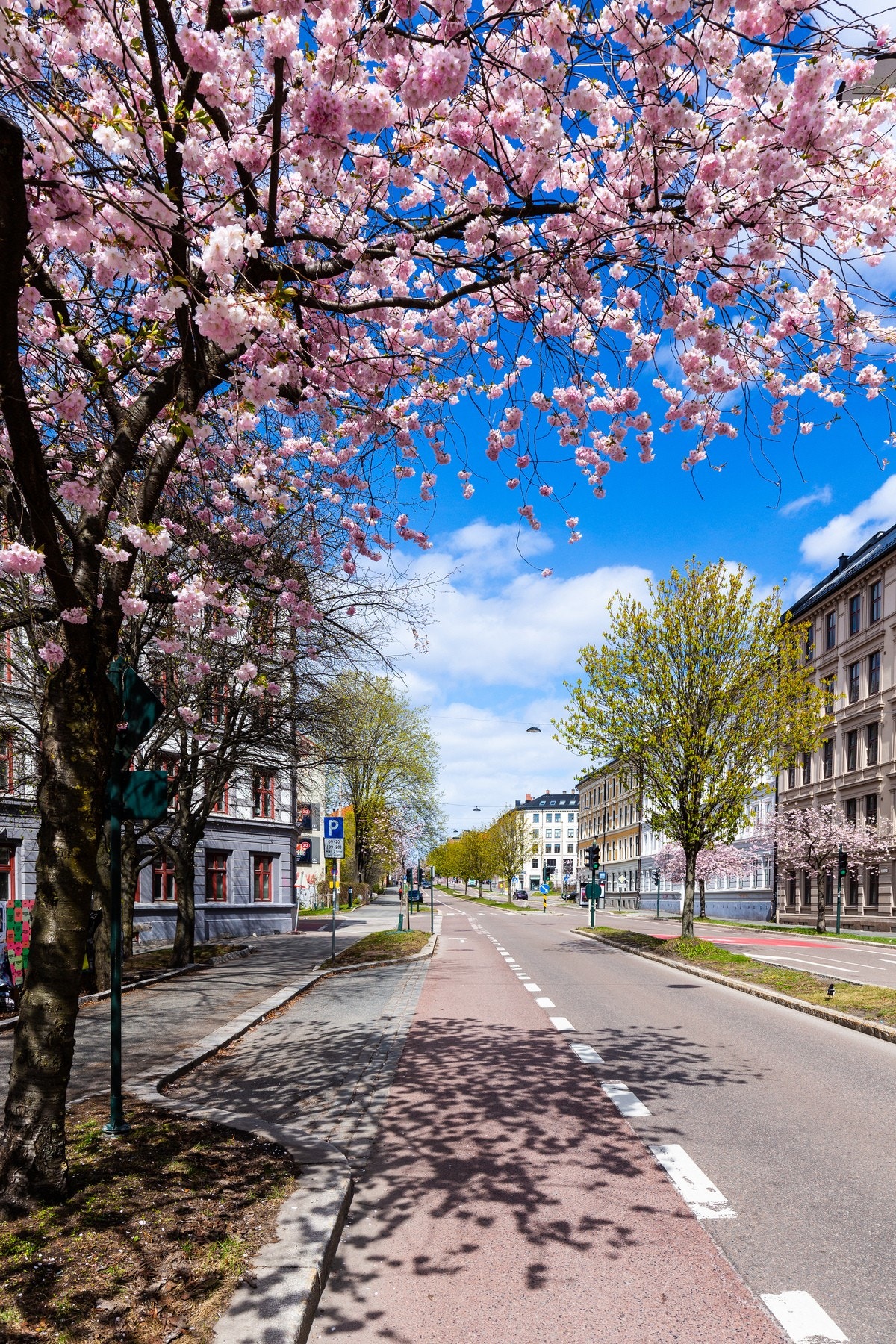 Nærområde. Galleribilde