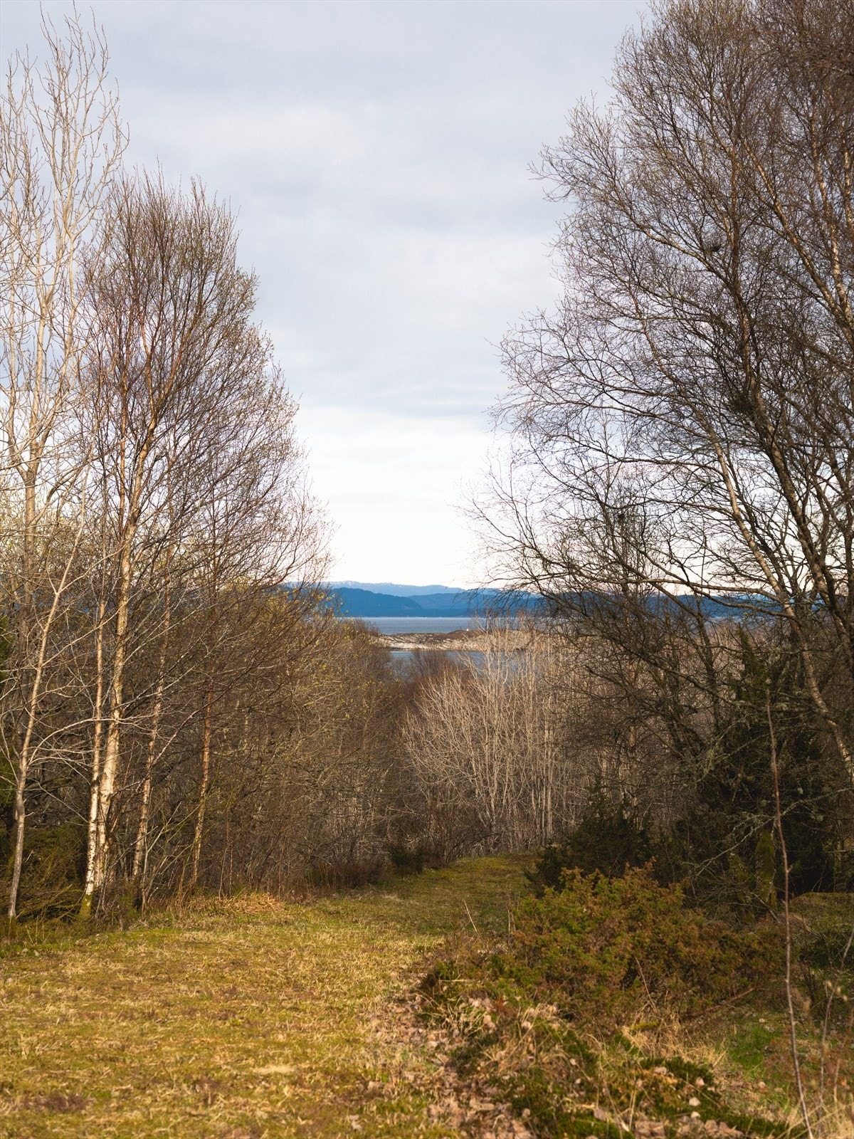 Det er tinglyst veirett til begge tomtene Galleribilde