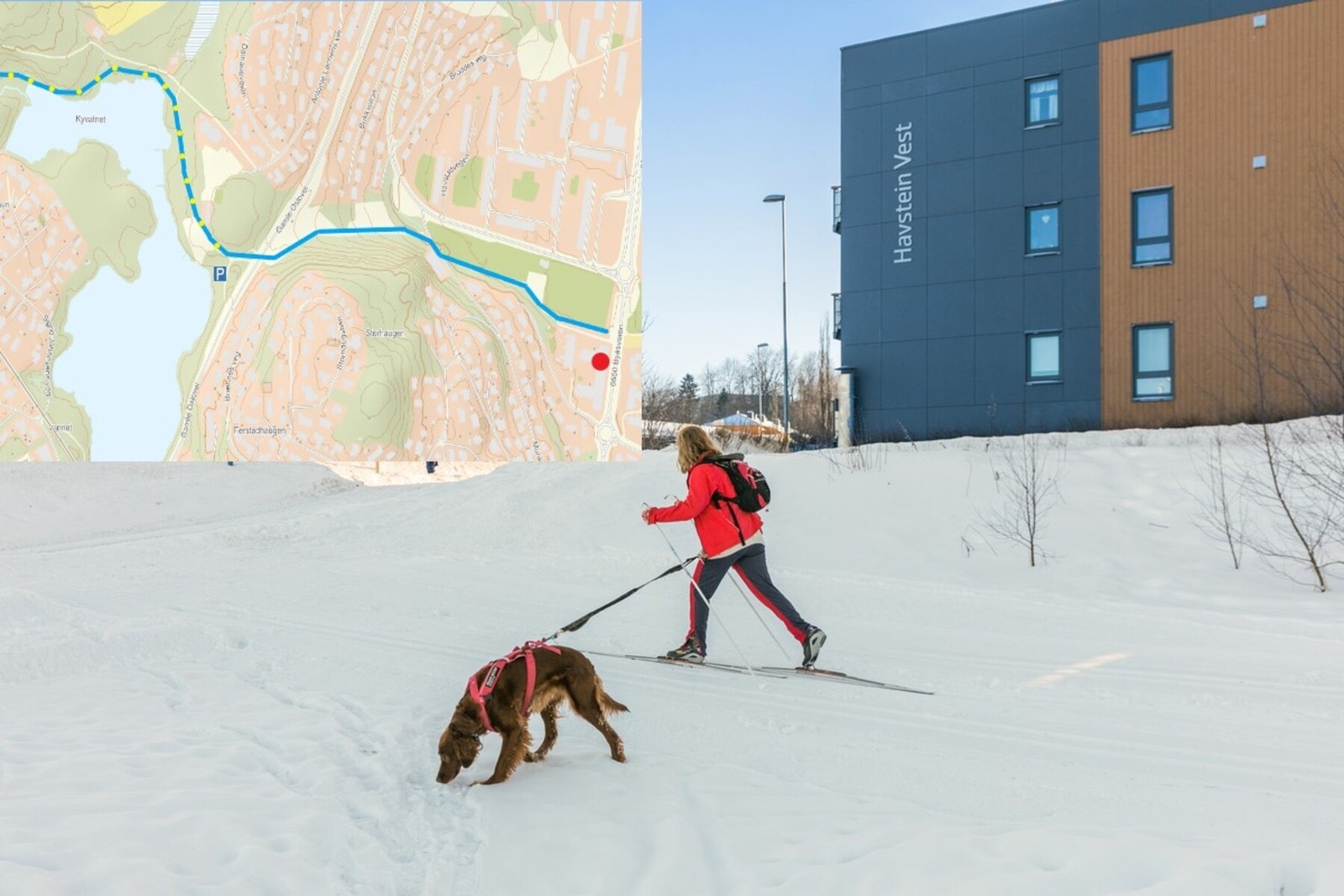 Skisporet starter like utenfor leiligheten med "ski in ski out" Galleribilde