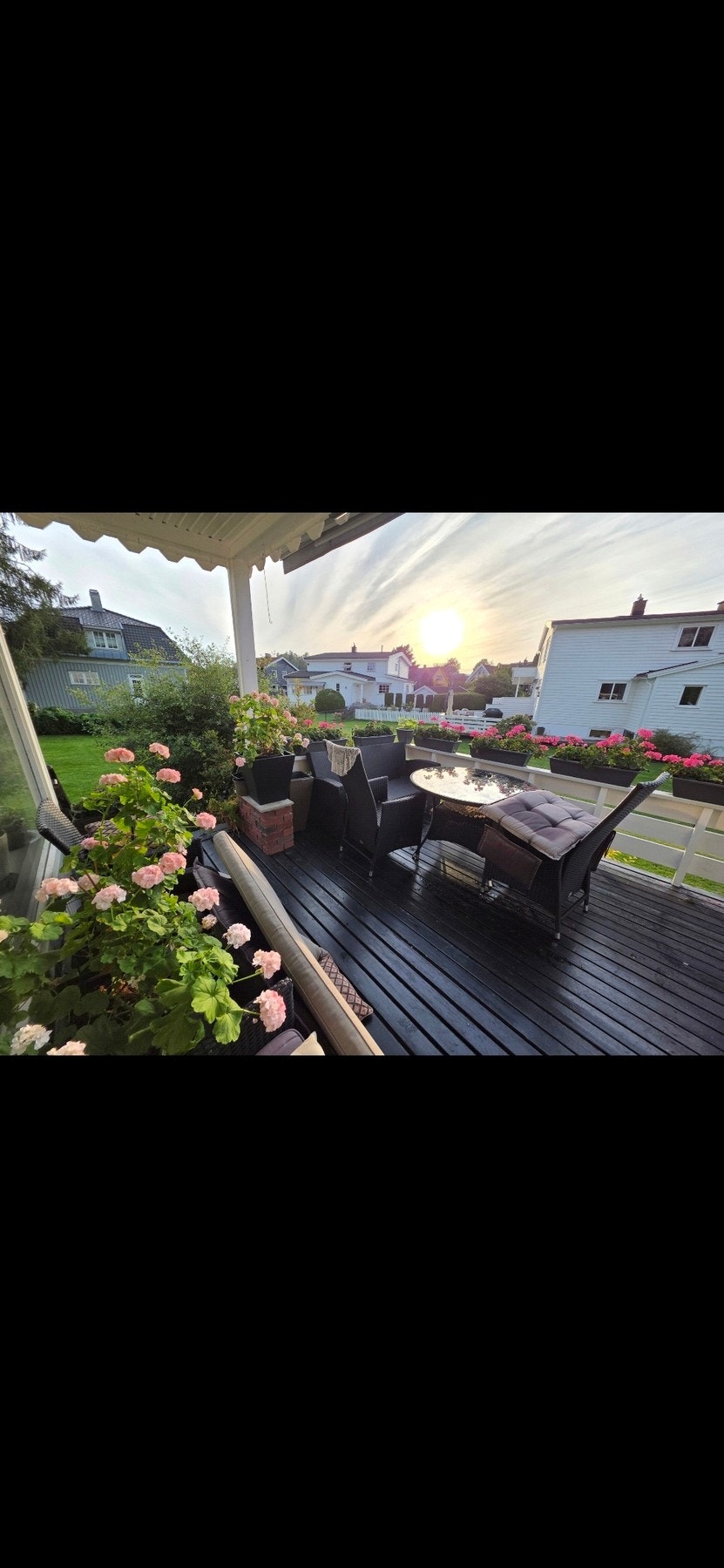 Selgers private sommerbilde. Galleribilde