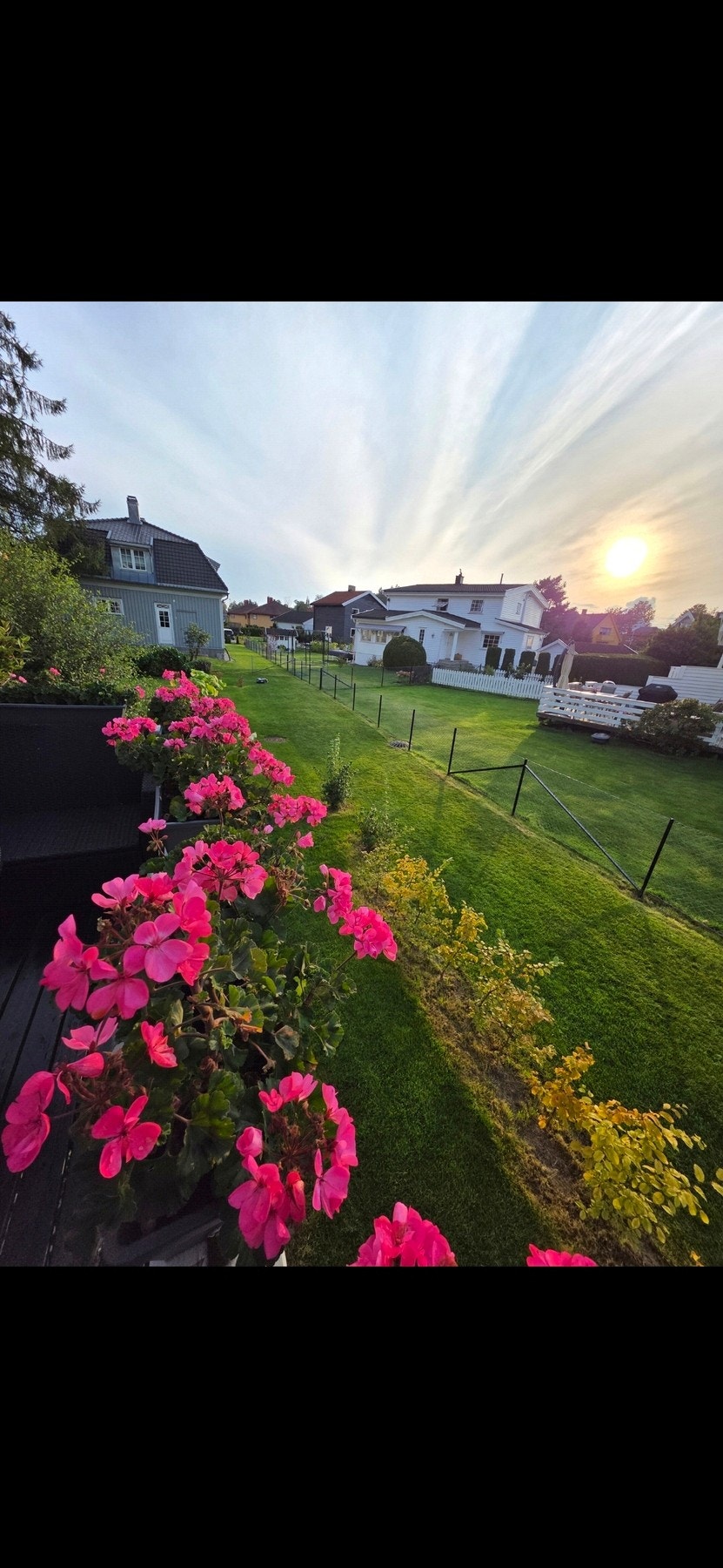 Selgers private sommerbilde. Galleribilde