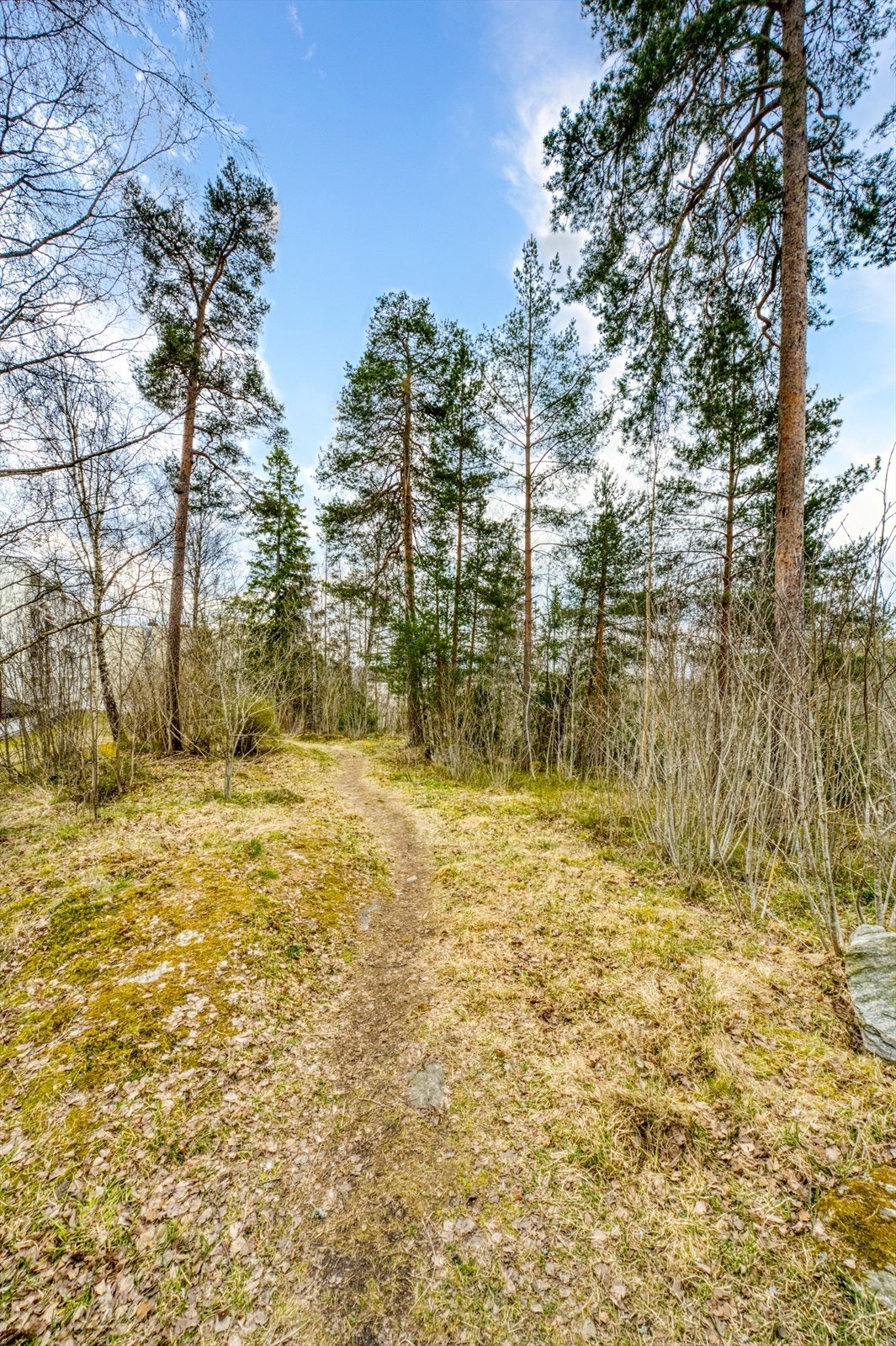 Fra eiendommen er det kort vei til flotte turområder, perfekt for rekreasjon året rundt. Galleribilde