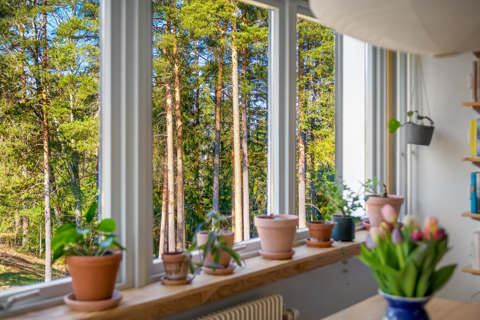 En særegen og arkitektonisk 3-roms rett ved Bølerskogen. Galleribilde