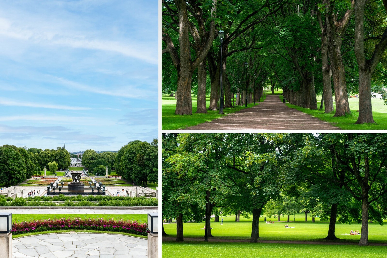 Frognerparken ligger i umiddelbar nærhet fra leiligheten. En av Oslos mest ikoniske grøntområder. Her kan du nyte vakre alléer, åpne gressletter og det verdenskjente Vigelandsanlegget. Galleribilde