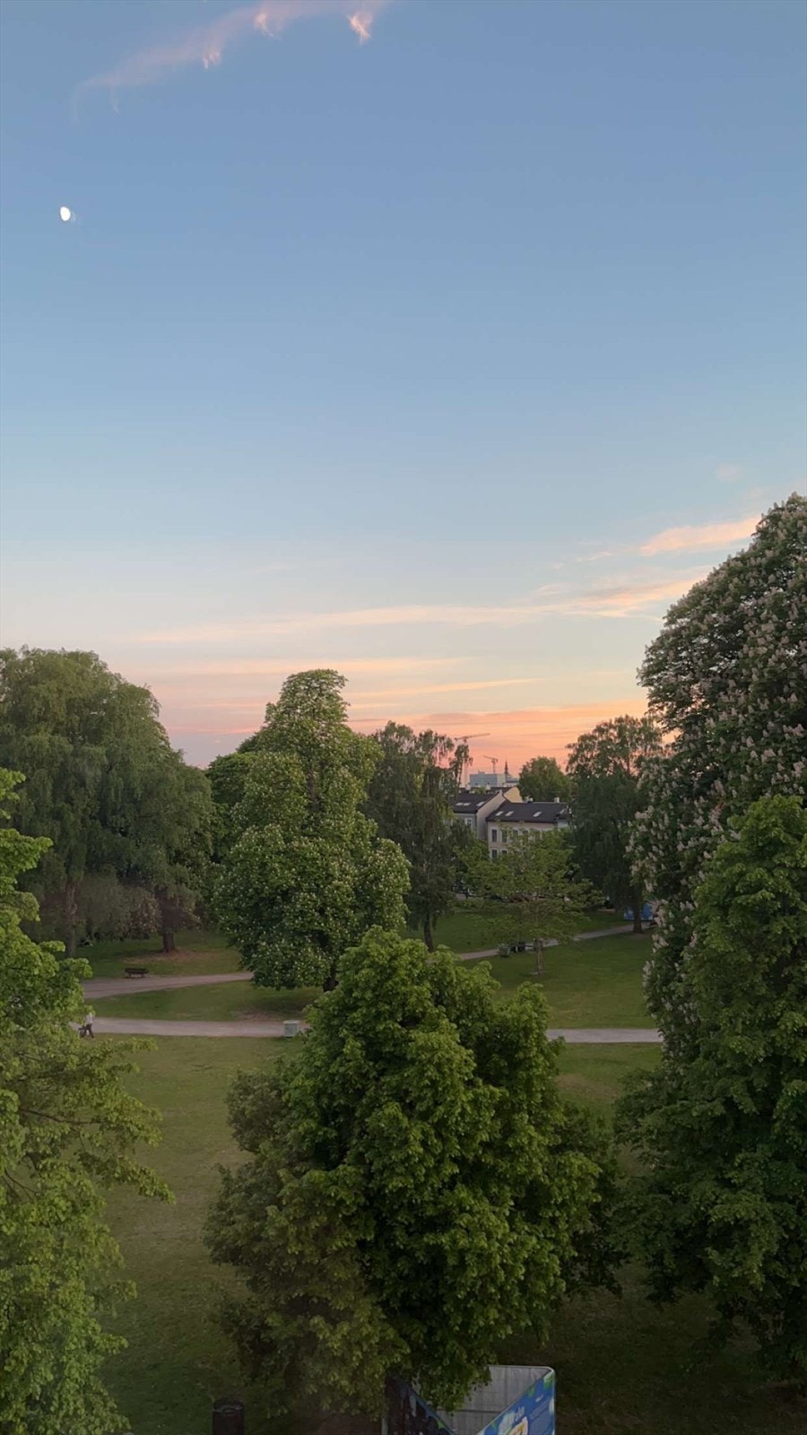 Idyllisk utsikt fra stue mot populære Sofienbergparken. Galleribilde