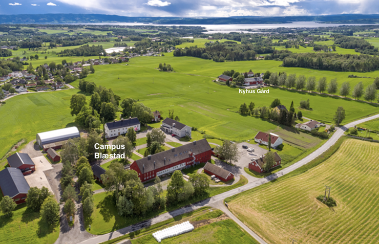 Nærmeste nabo til Blæstad Galleribilde