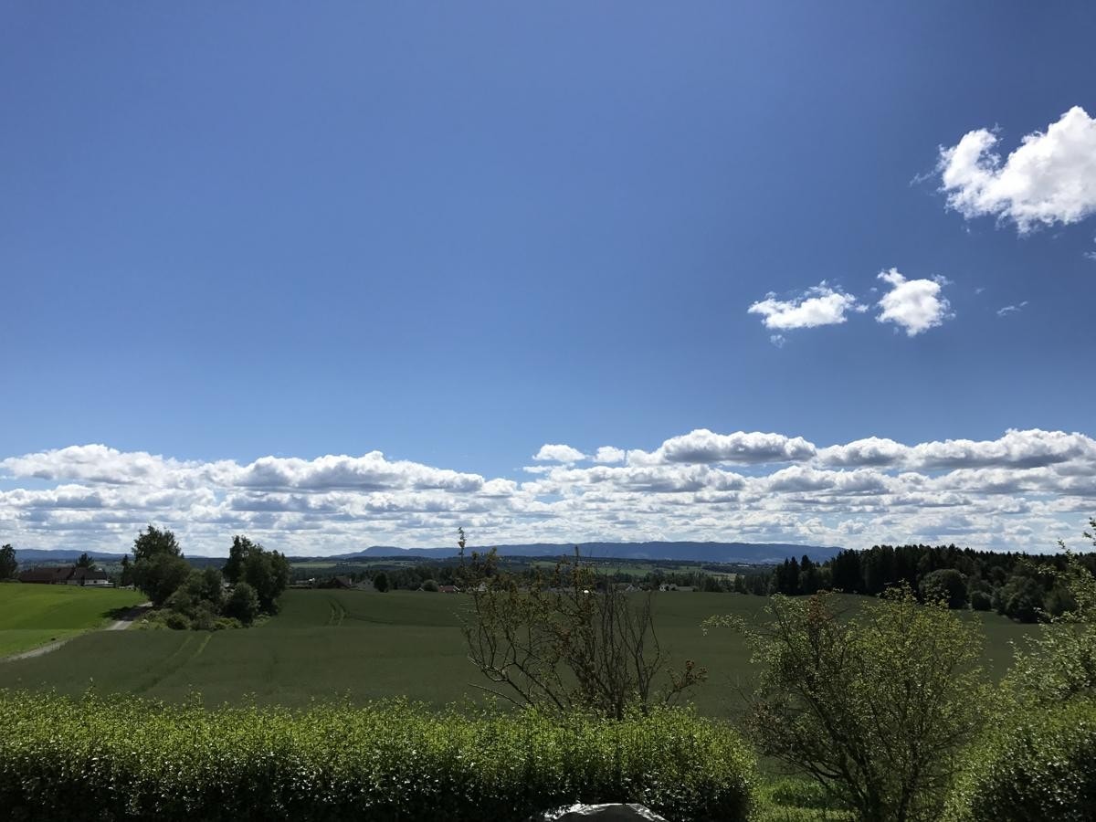 Litt av utsikten fra terrassen Galleribilde