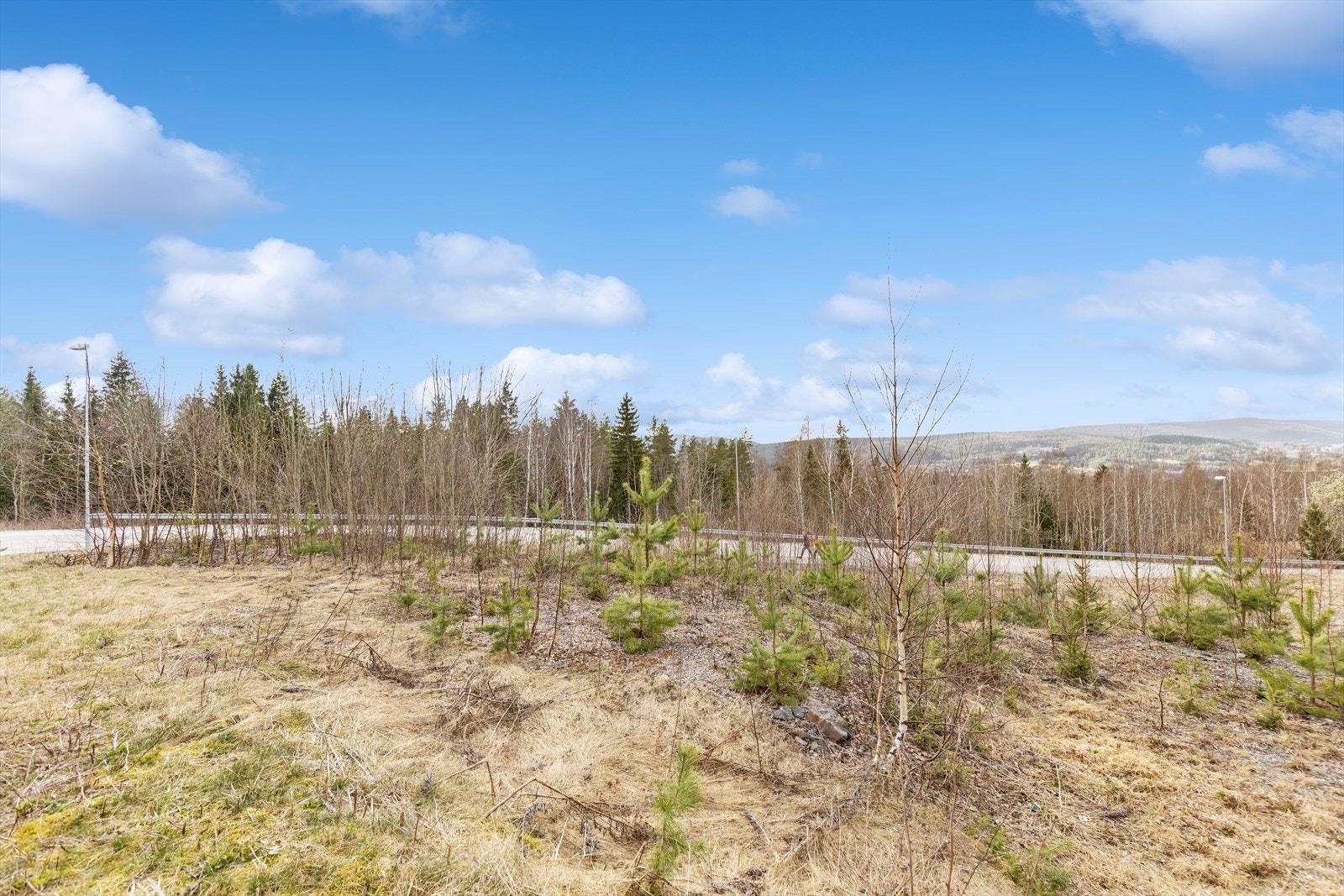 Her har du muligheten til å realisere boligdrømmen på en ubebygd tomt, hvor du kan skape ditt eget hjem fra grunnen av. Galleribilde