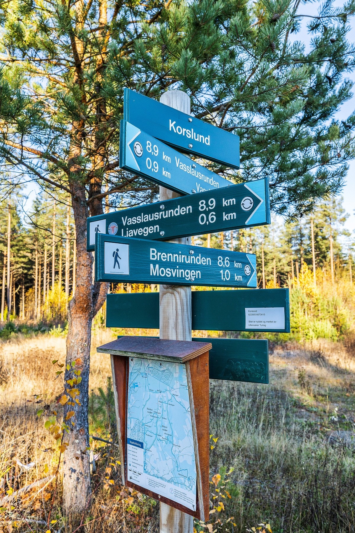 Kort vei til flere turområder. Galleribilde