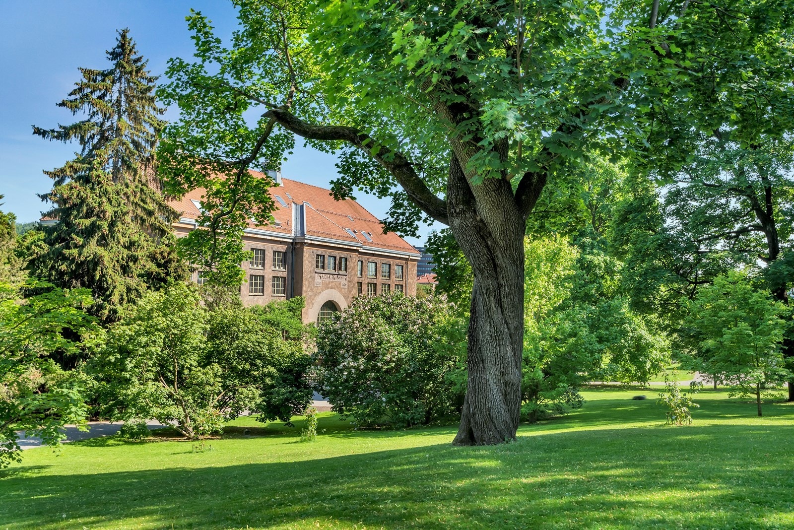 Nydelige Botanisk hage. Her finner du masse flotte blomster og planter, caféer og et museum Galleribilde