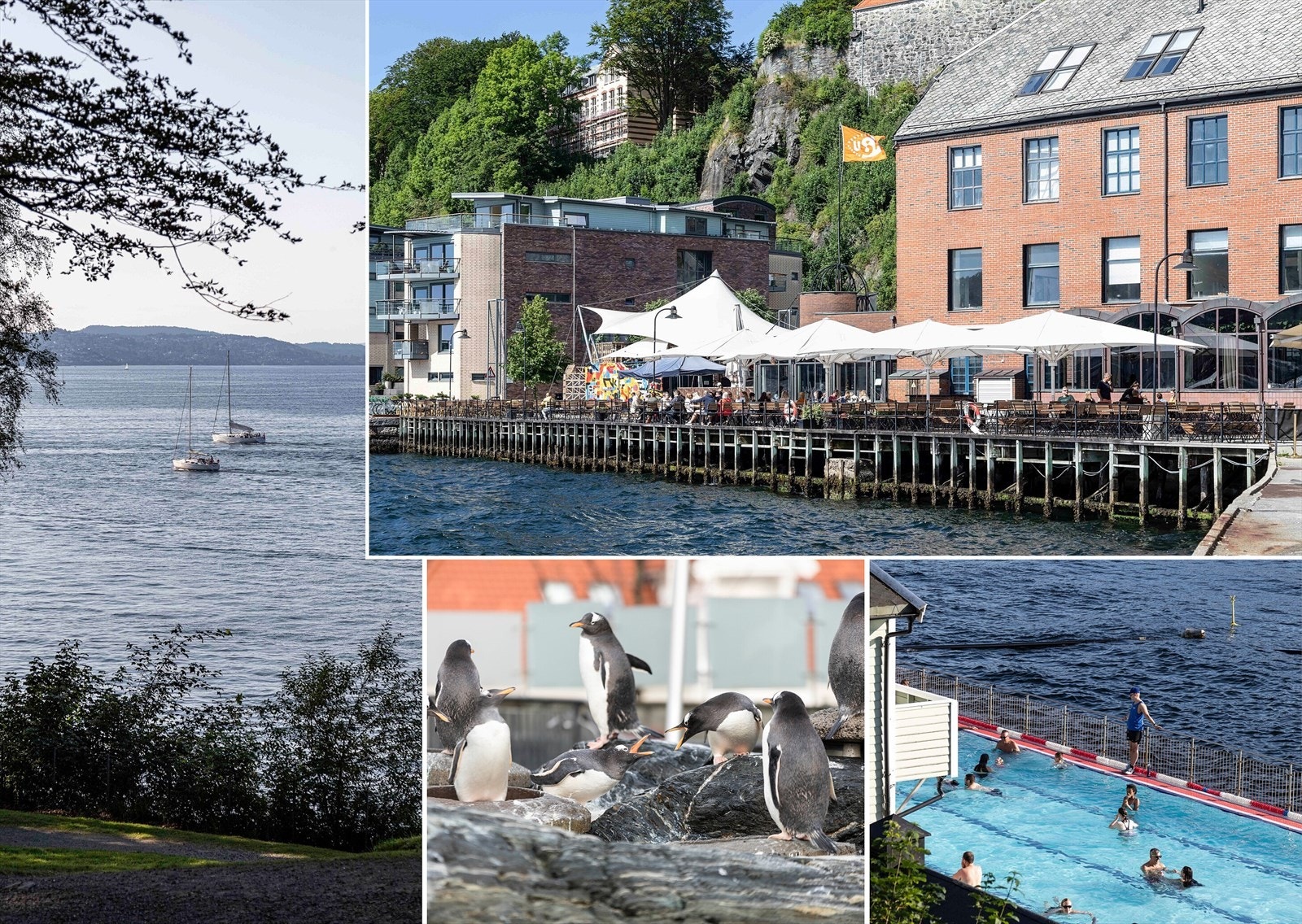 USF Verftet ligger like ved og er et naturlig samlingspunkt gjennom hele året. Nordnes Sjøbad tilbyr oppvarmet saltvannsbasseng, badstue og sjøbad året rundt. Nordnesparken og Akvariet er også petfekt for rekreasjon og hygge! Galleribilde