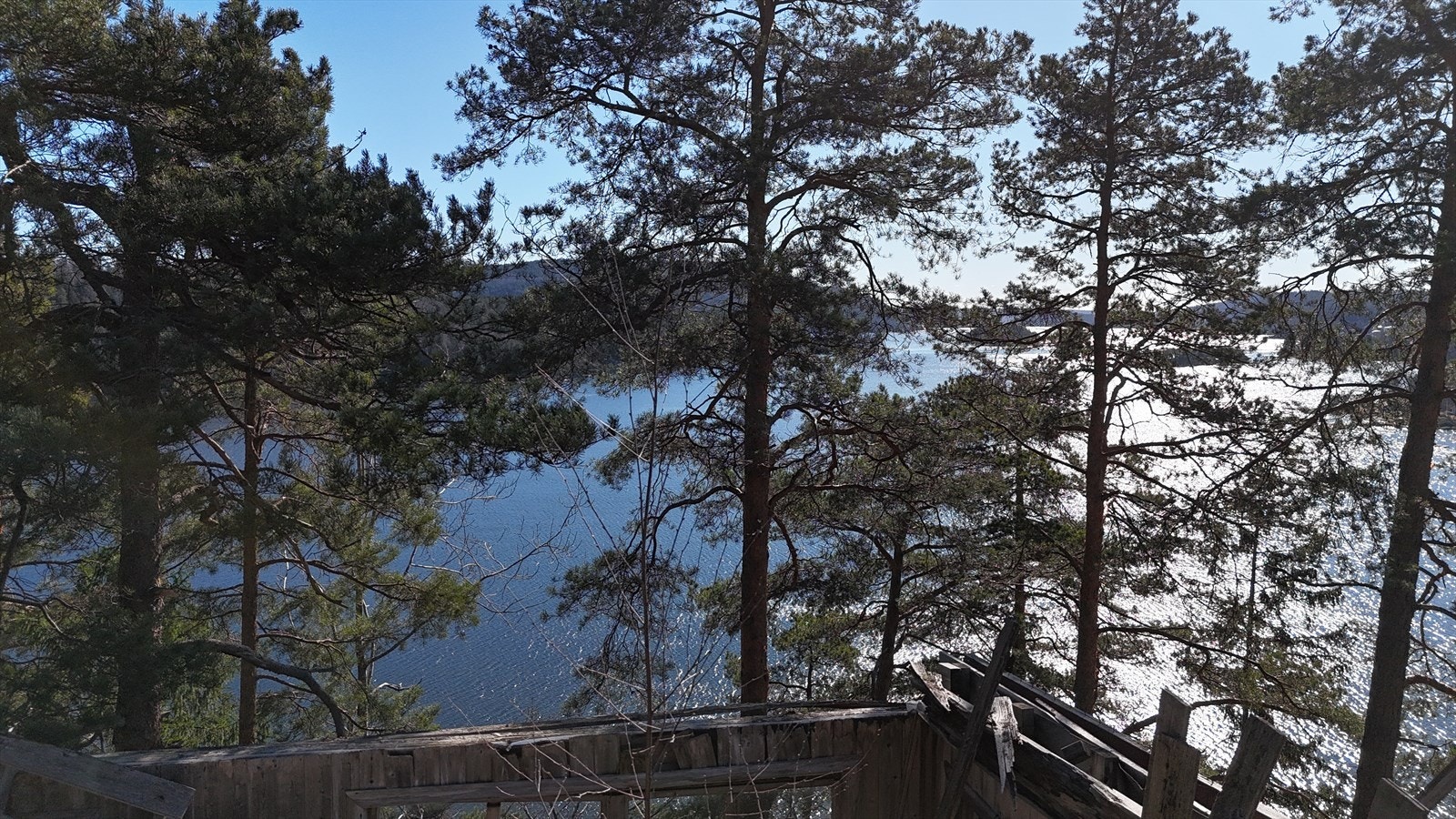 Trærne kan beskjæres for å få utsikt over Oslofjorden utover mot Drøbak. Galleribilde