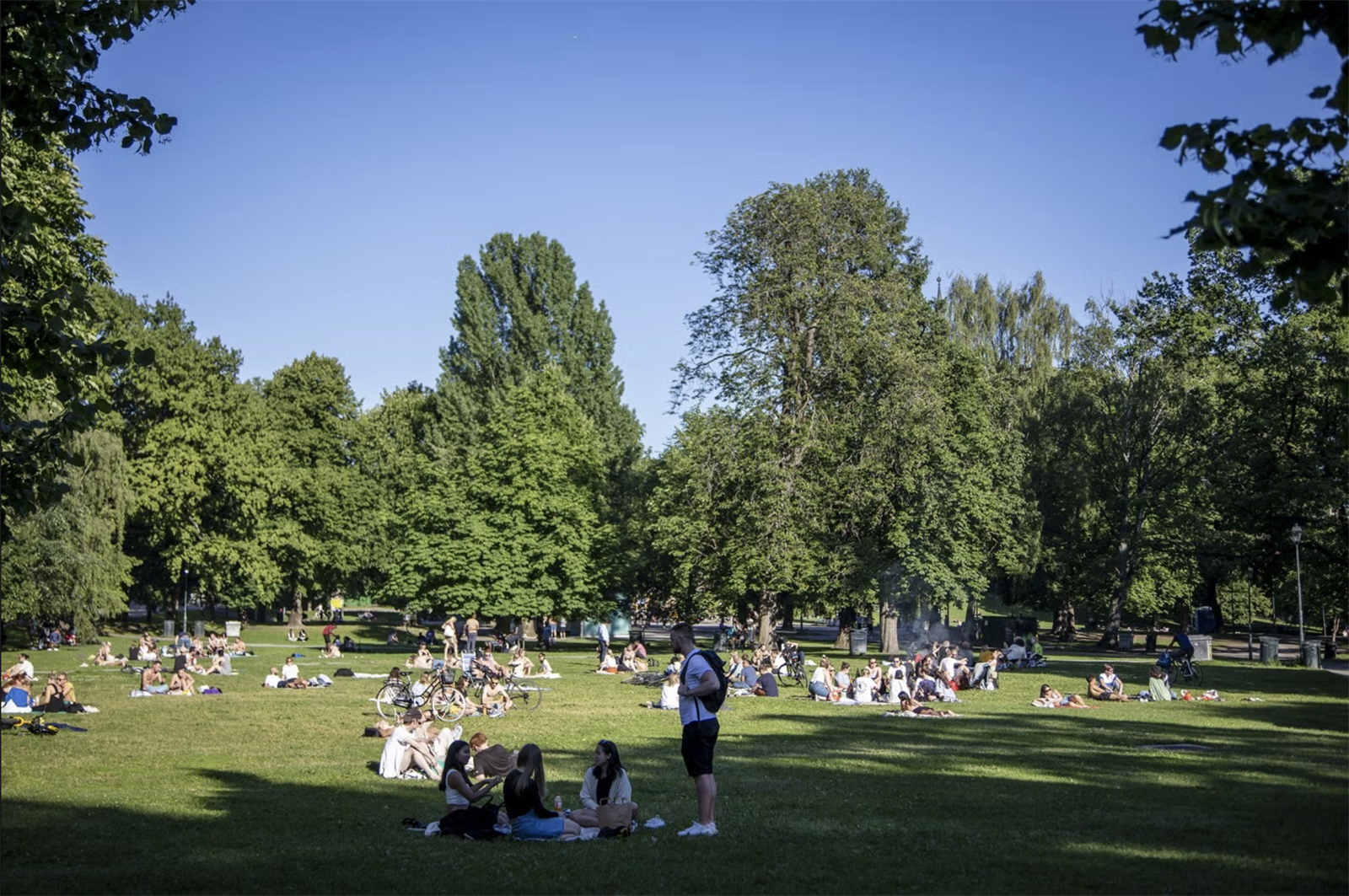 Innen kort gange ligger populære Sofienbergparken med muligheter for bl.a. gåturer, soling, grilling og sportsaktiviteter Galleribilde