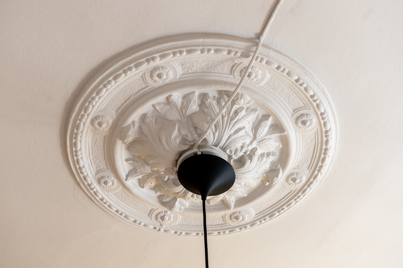 Godt bevart rosett med tydelige detaljer. Galleribilde