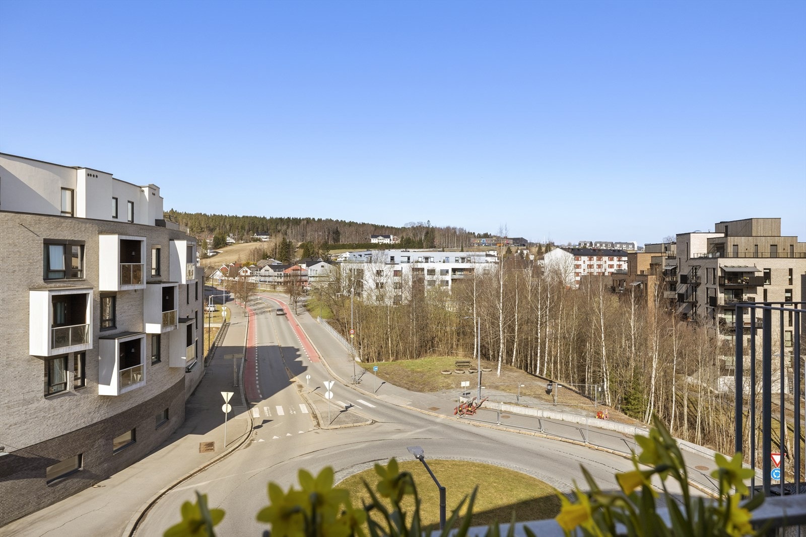 Utsikt over nærområdet. Galleribilde
