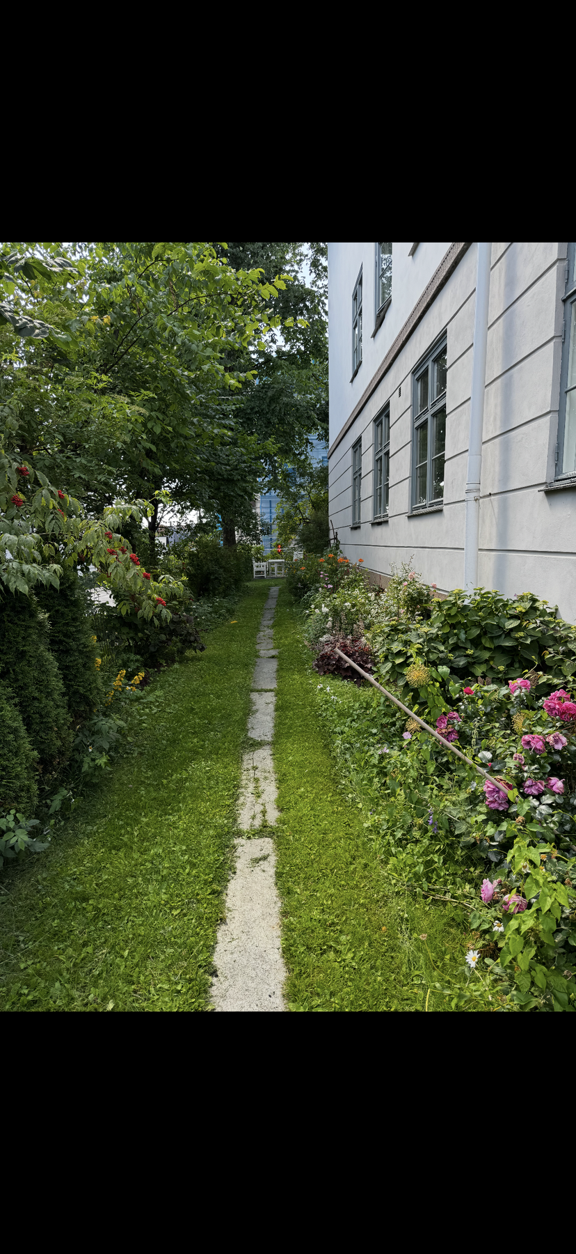 Sommerbilde - Tatt av selger. Galleribilde