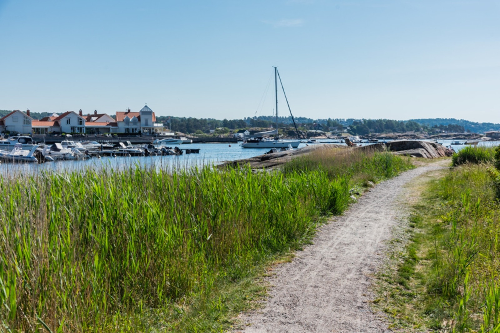 Her er det bare å nyte sol, sjø og sommerliv langs vannet Galleribilde