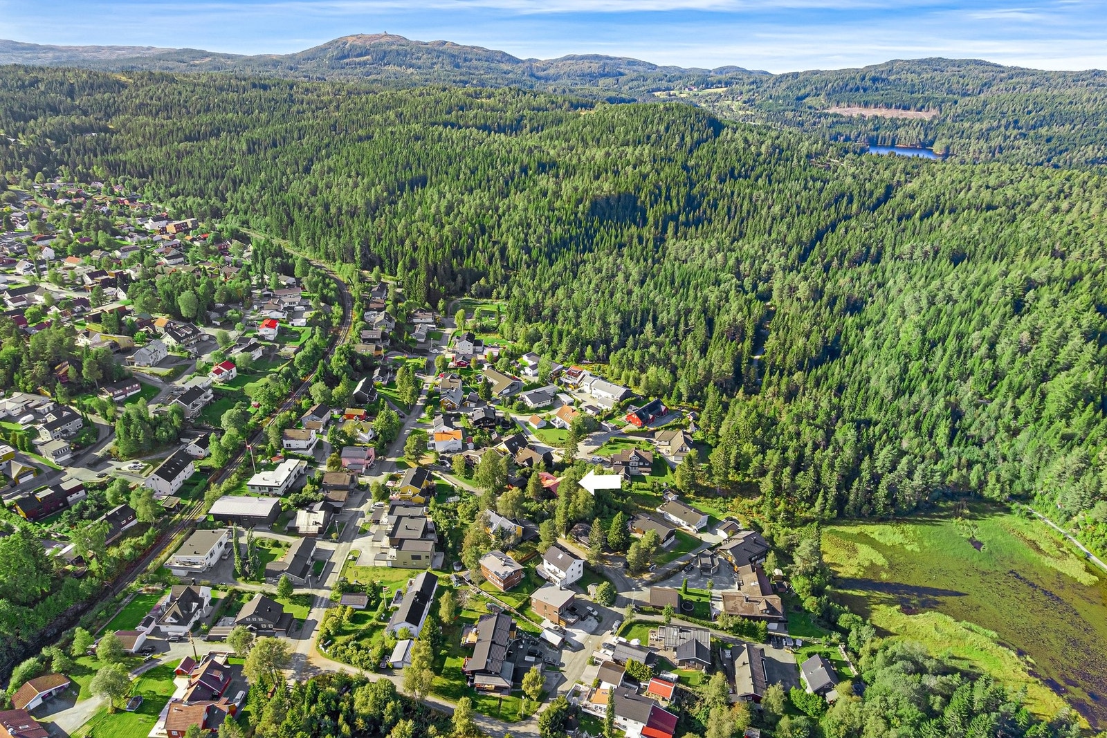Velkommen til en hyggelig visning! Galleribilde