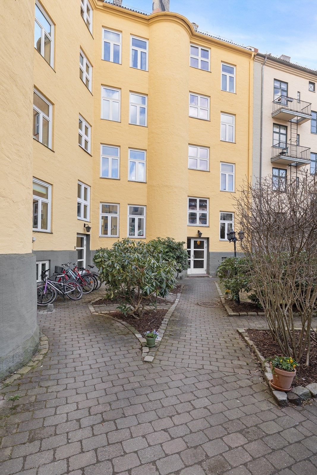 Opparbeidet bakgård med diverse planter og trær. Galleribilde