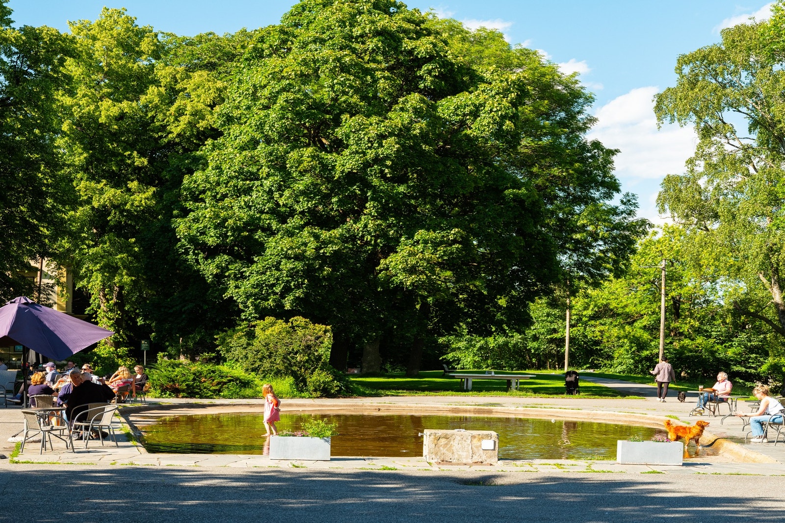 Stensparken ligger i kort avstand fra boligen Galleribilde