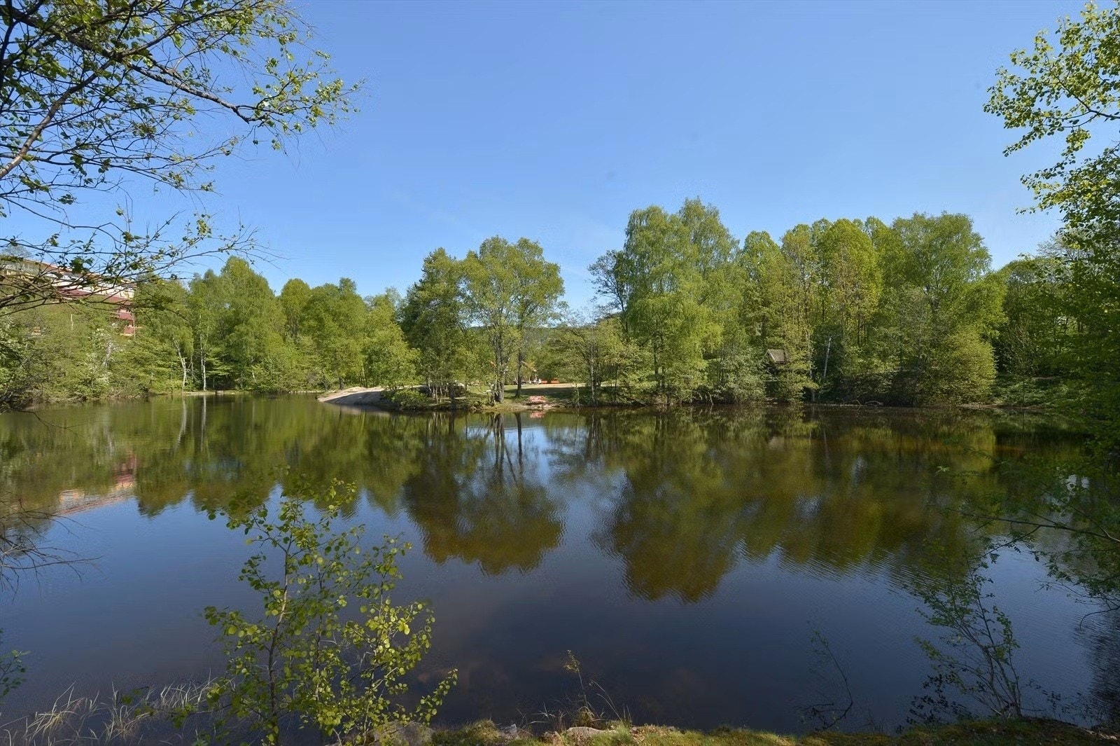 Frysja badeplass/Brekkedammen er en idyllisk dam ved øvre del av Akerselva med Oslos reneste badevann Galleribilde