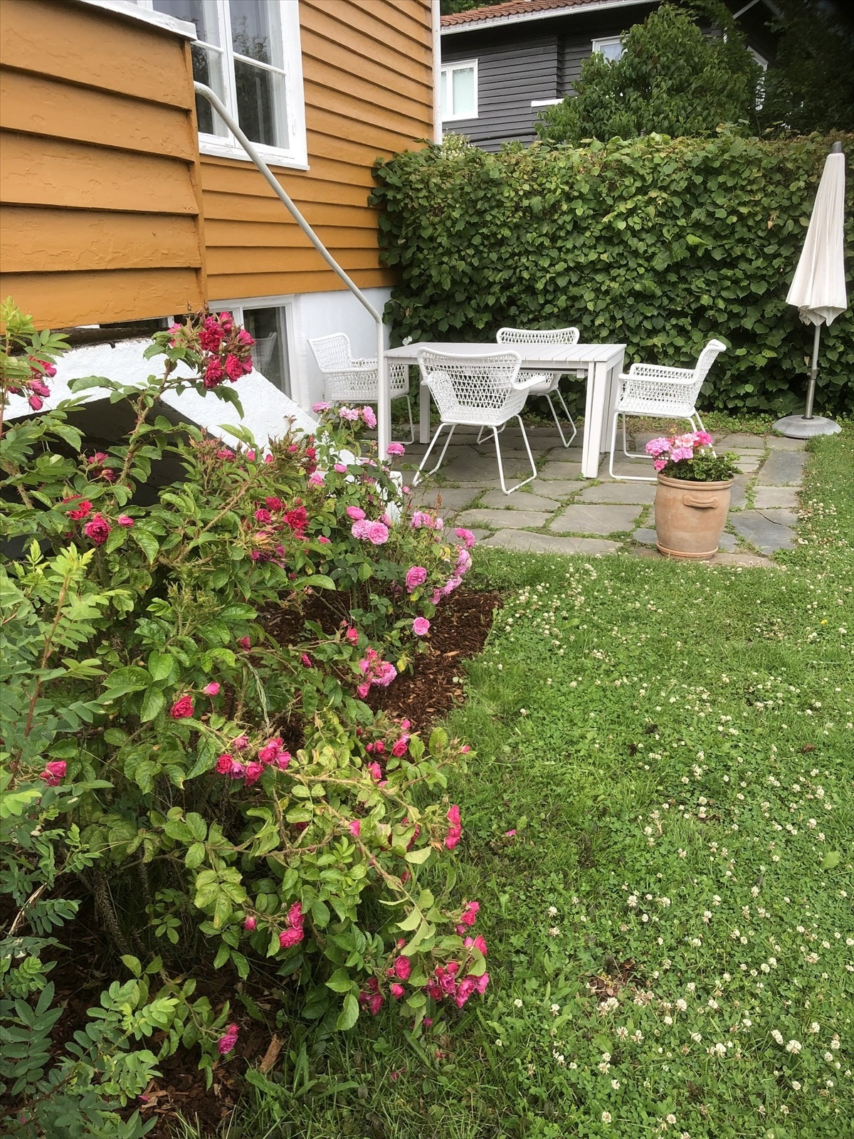 I løpet av våren og sommeren er hagen et flott syn med blomstrende frukttrær, syriner, skjærsmin, pioner og roser. (selgers private bilder). Galleribilde