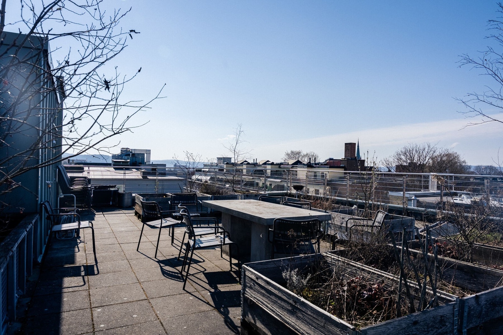 Felles takterrasse med flere urte- og blomsterkasser. Galleribilde