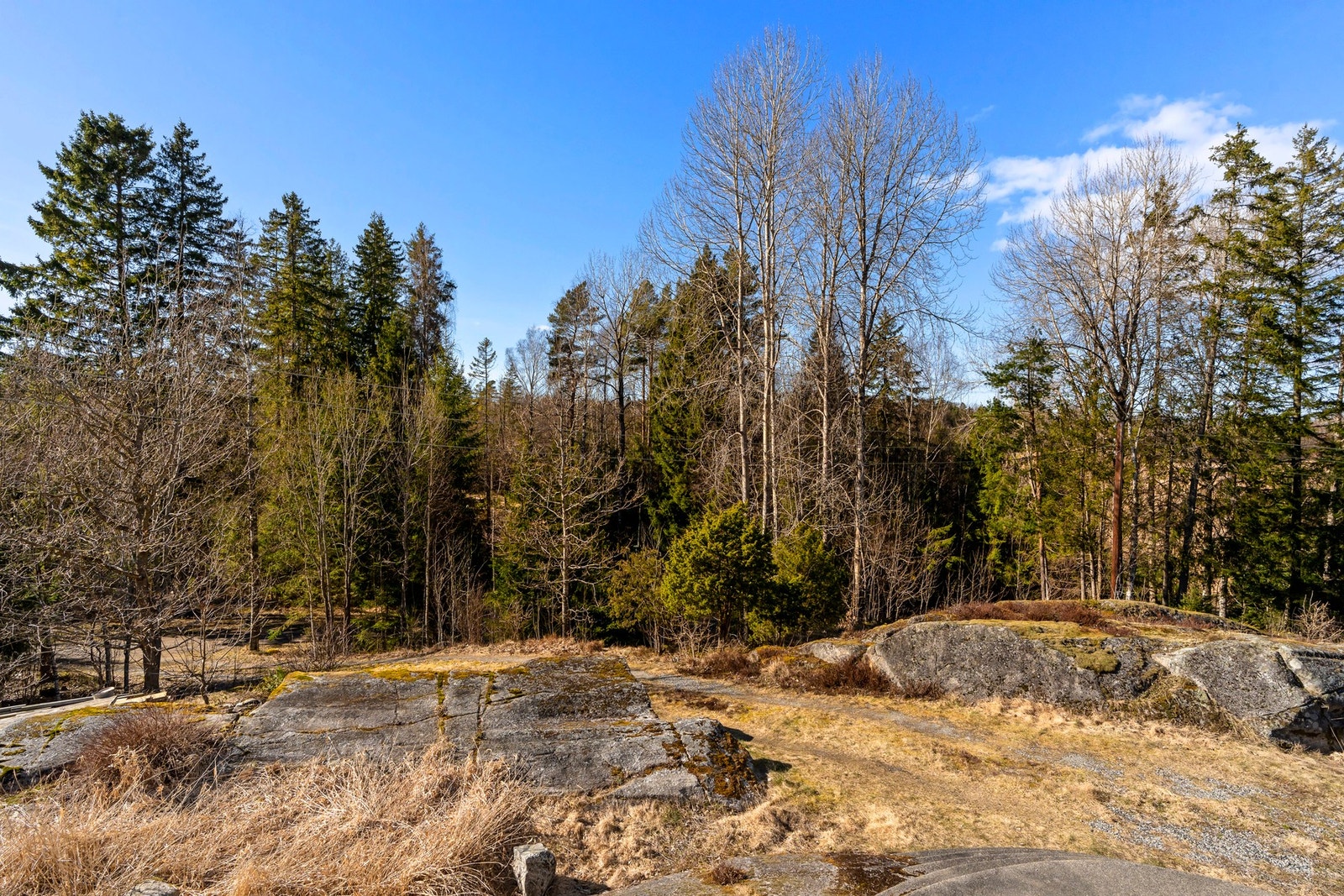 Tomten består hovedsakelig av lettstelt naturtomt med fjell i dagen. Galleribilde