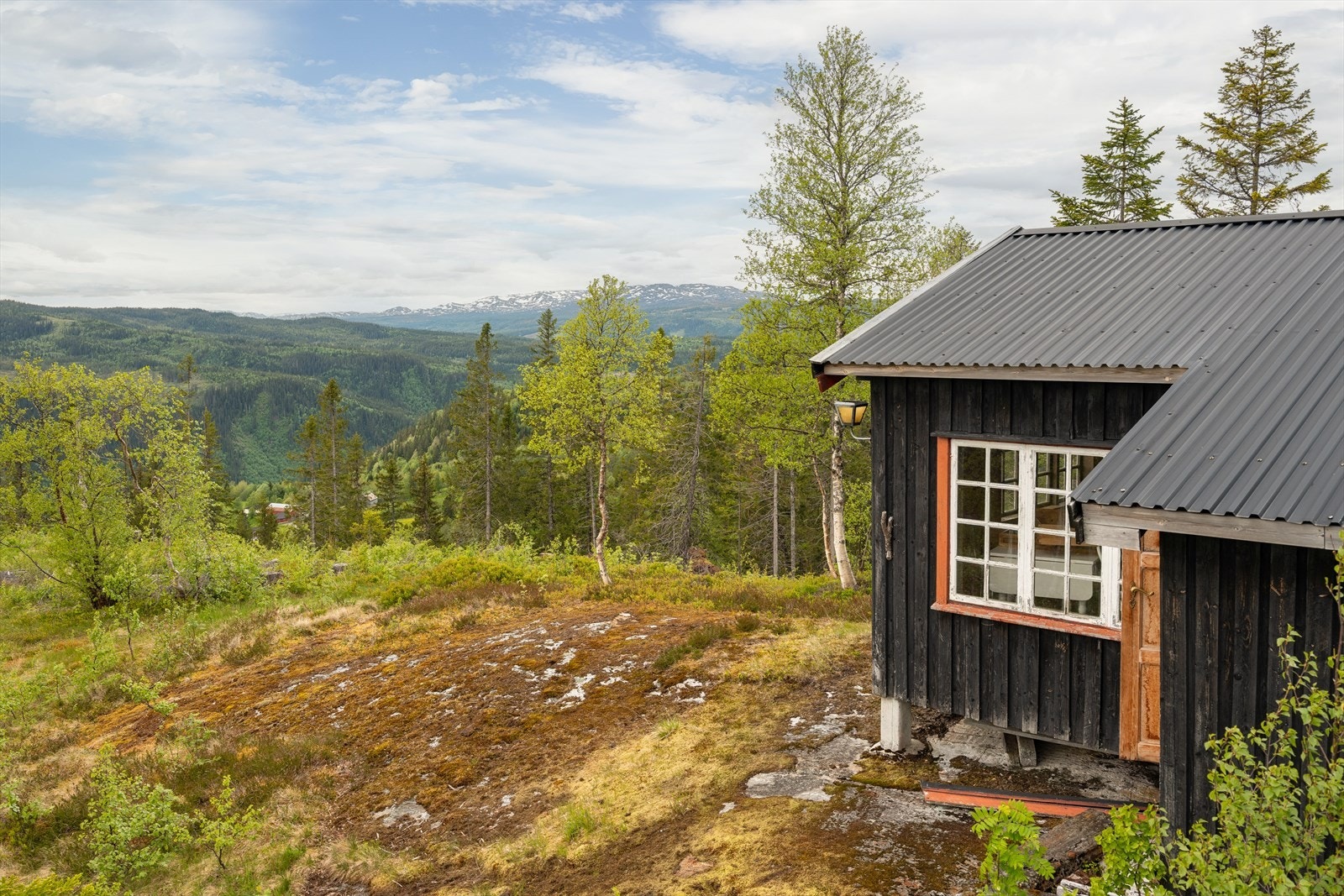 Velkommen på hyggelig visning! Galleribilde