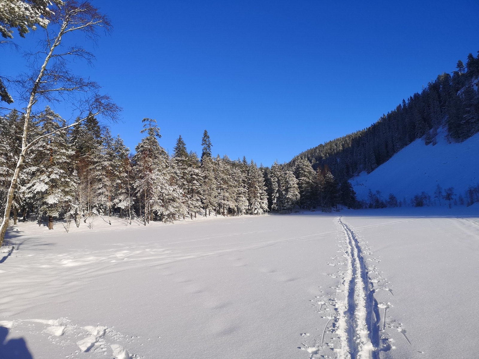 Fra leiligheten er det kort vei til Strømsvannet, der skiløypene om vinteren går over det islagte vannet og gjennom snøkledt skog. Galleribilde