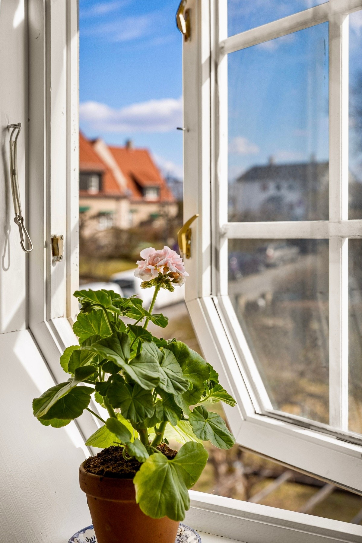 Nydelig utsyn Galleribilde