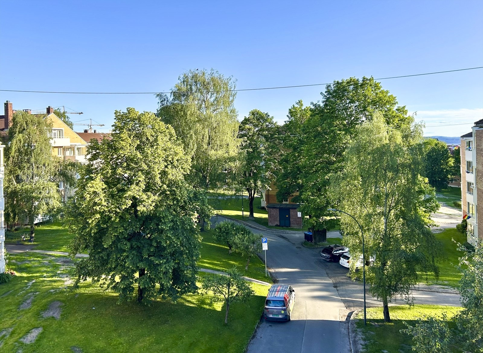Selgers bilde tatt på sommeren Galleribilde