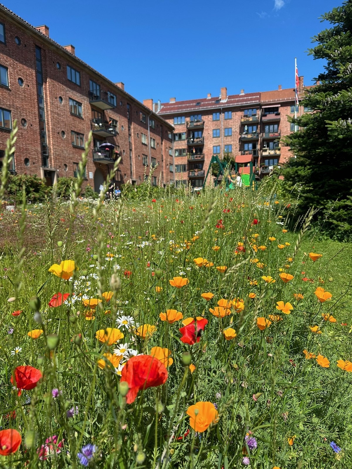 Bakgården er kjent for å være meget frodig og hyggelig. Bilde tatt av selger Galleribilde
