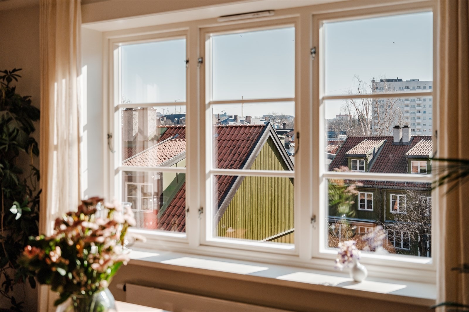 De flotte vinduene er fra 2018. Galleribilde
